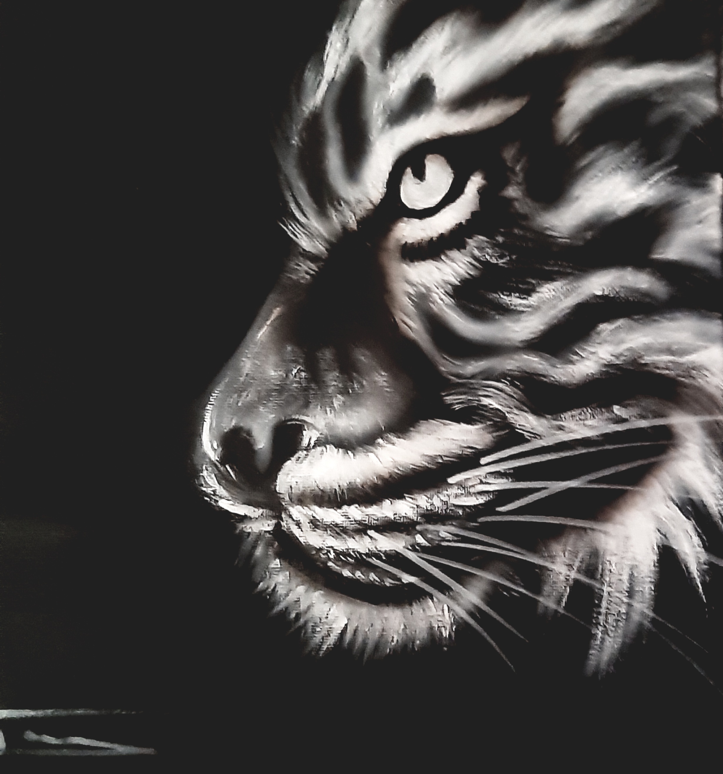 guepard