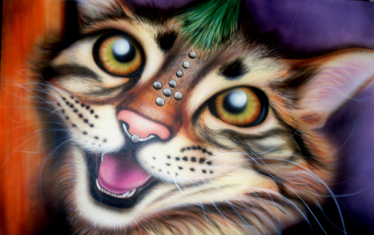 The cat