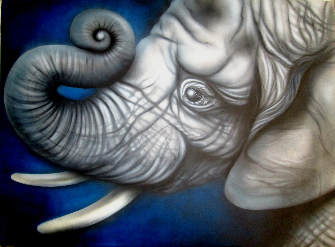 baby elephant