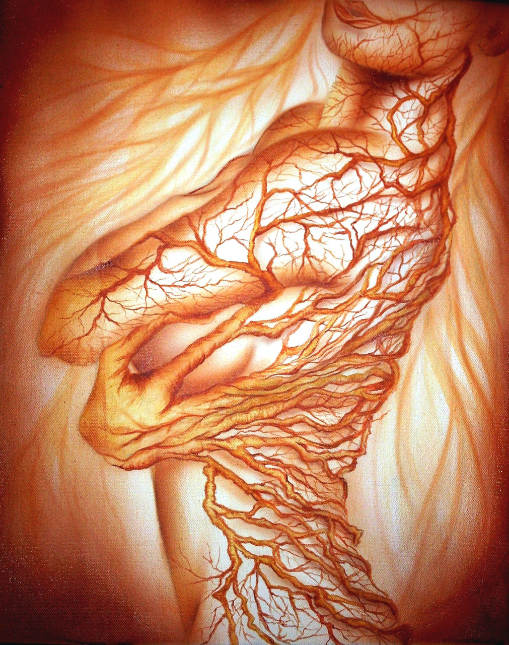 Metamorfosis