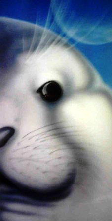 Foca 
