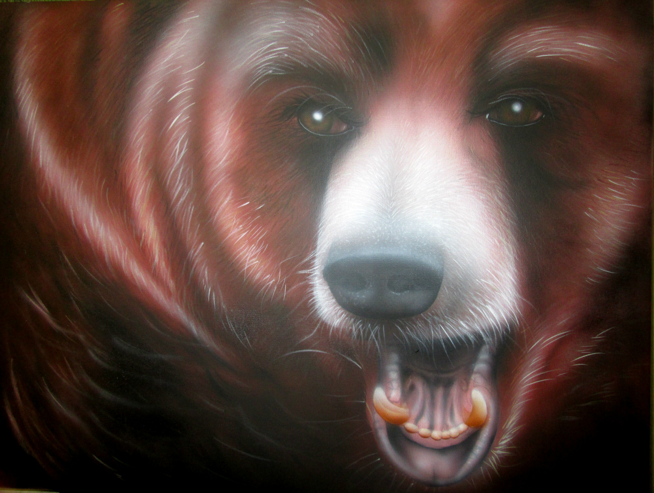 oso