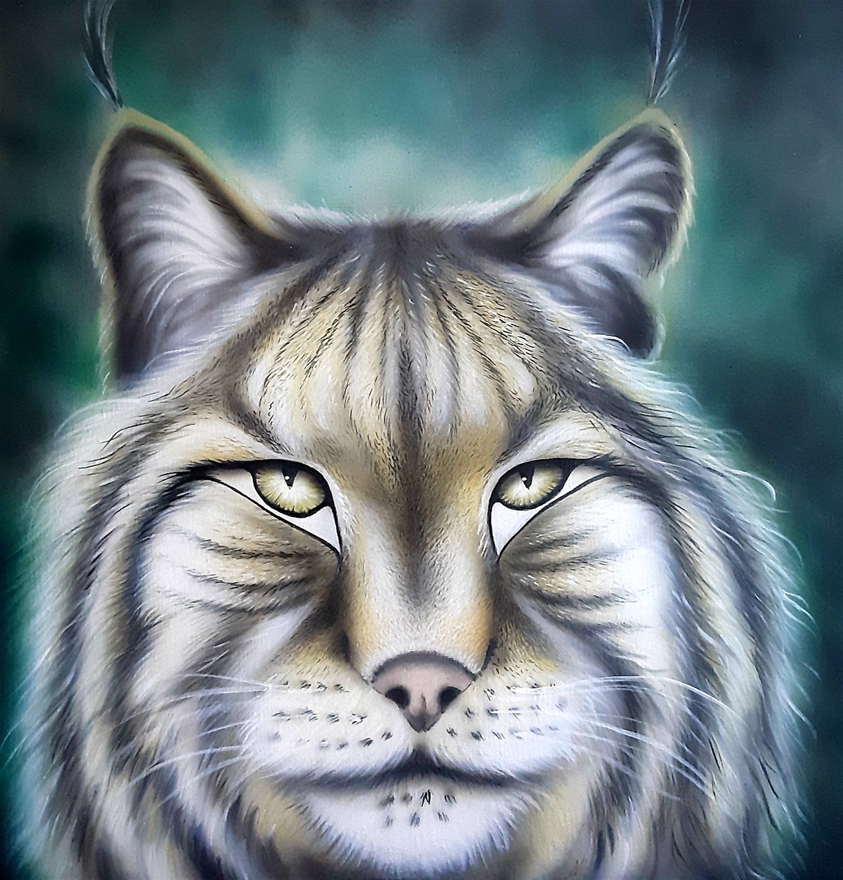 Lince