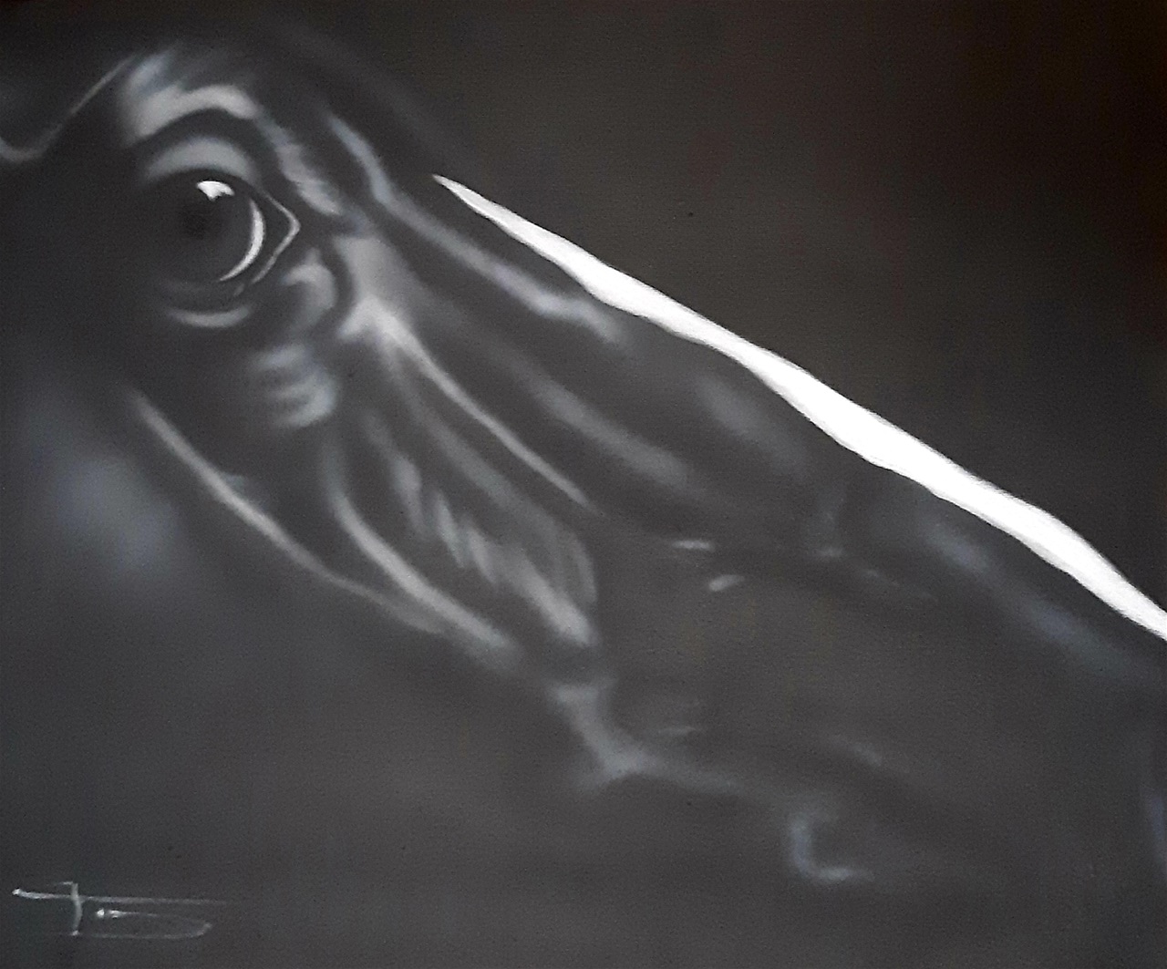 Horse 